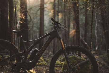 Mountain Bikes | Strictly Bicycles 