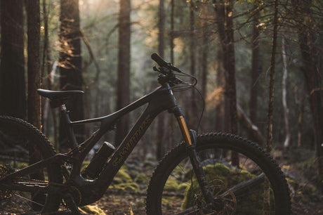 Mountain Bikes | Strictly Bicycles