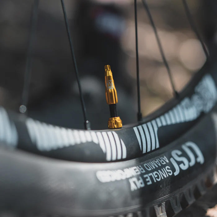 Lezyne CNC TLR Valve | Strictly Bicycles