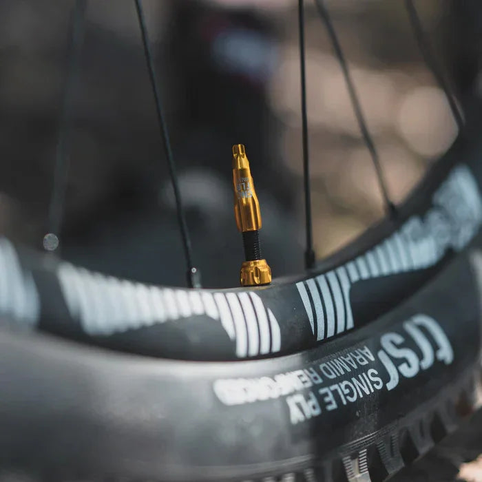 Lezyne CNC TLR Valve | Strictly Bicycles