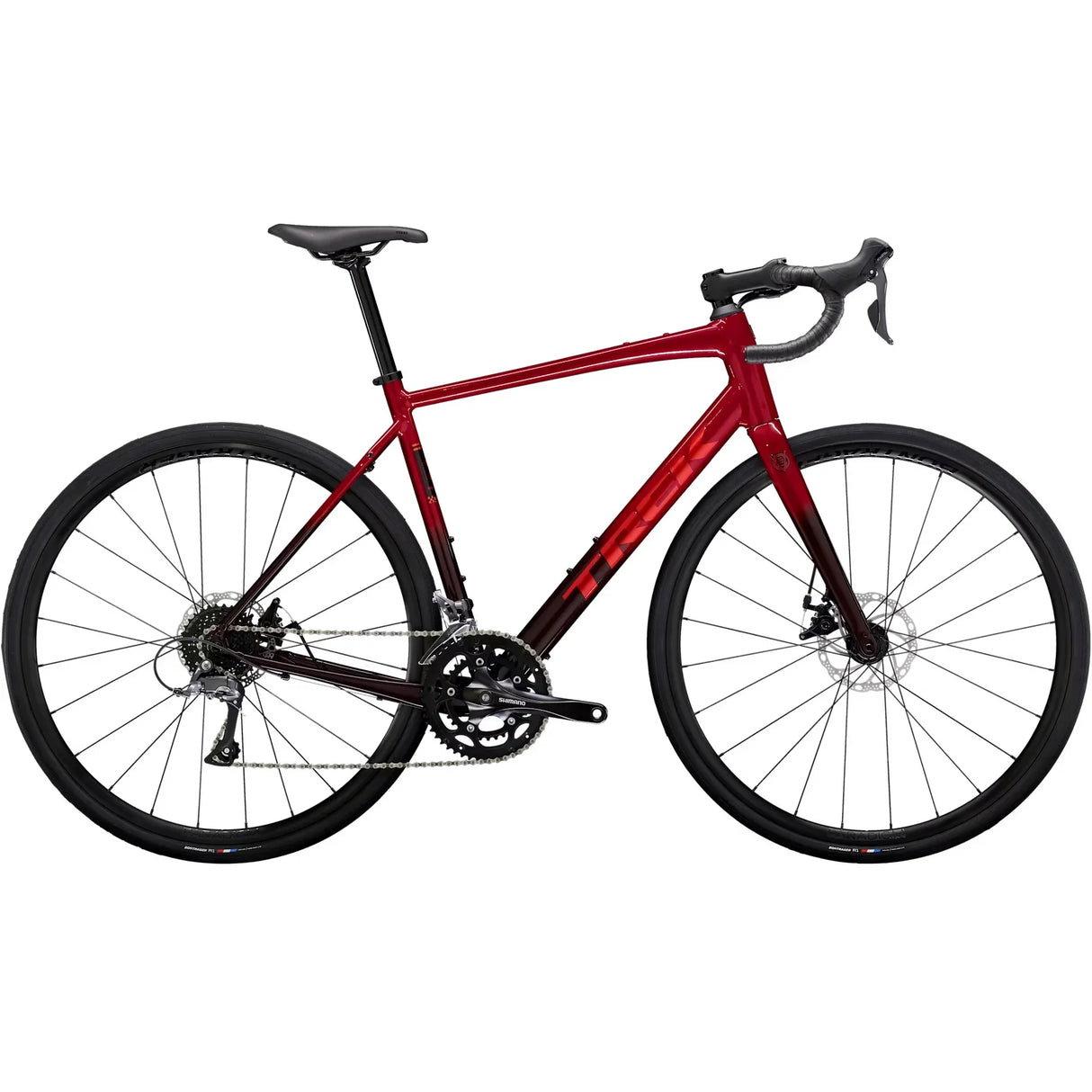 Trek Domane AL 2 Gen 4 | Strictly Bicycles