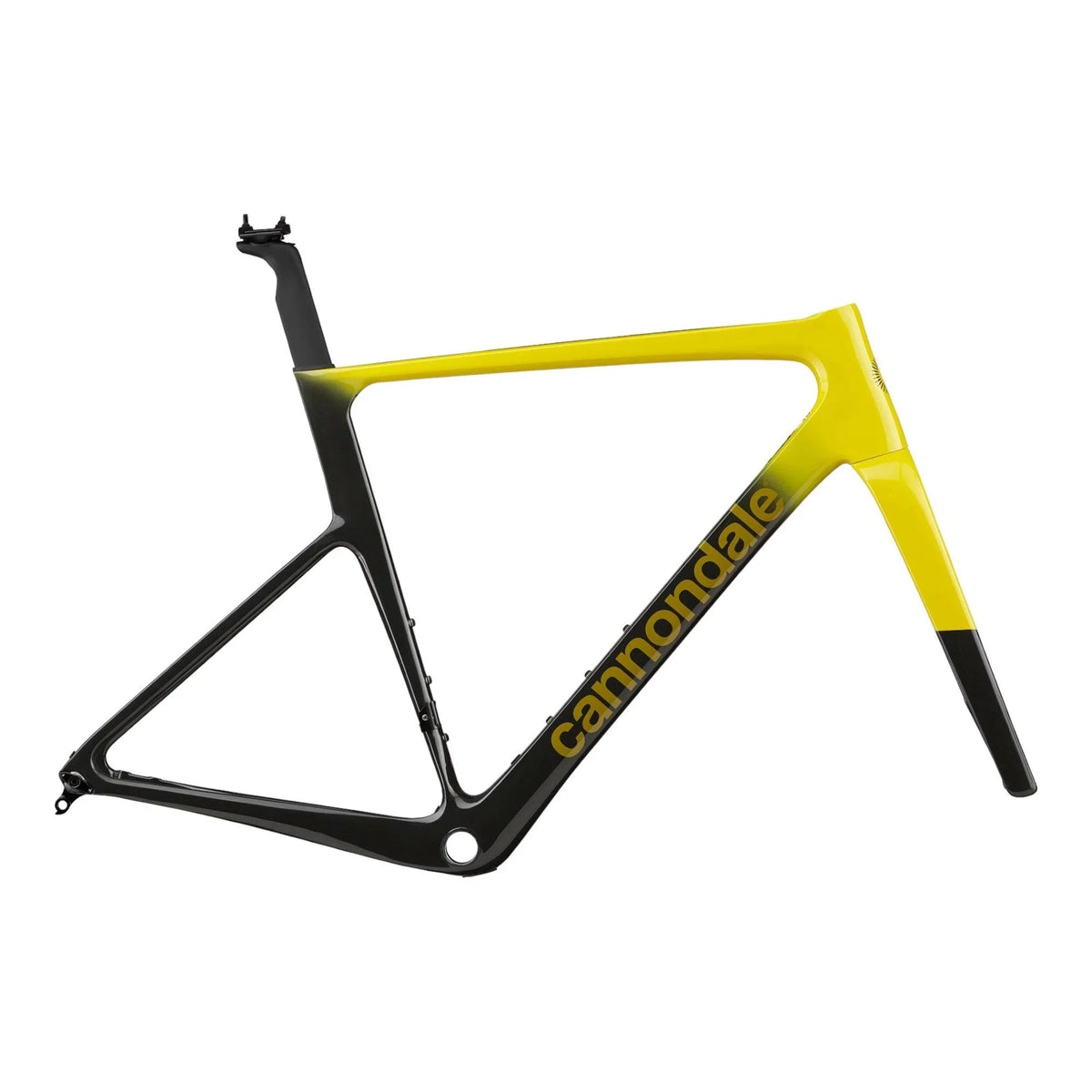 Cannondale SuperSix EVO Hi-Mod Frameset | Strictly Bicycles 