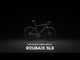 S-Works Roubaix SL8 Frameset