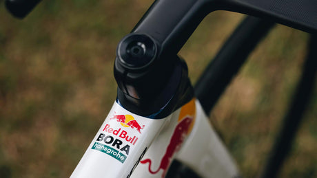 S-Works Tarmac SL8 Team Frameset Red Bull - BORA - hansgrohe | Strictly Bicycles