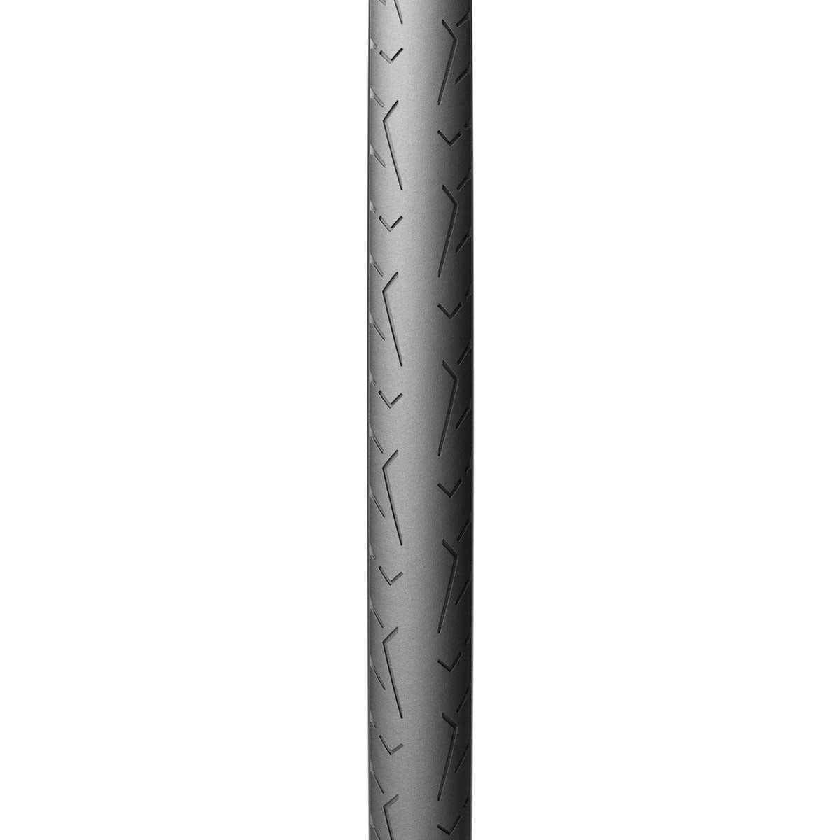 Cinturato EVO Tire
