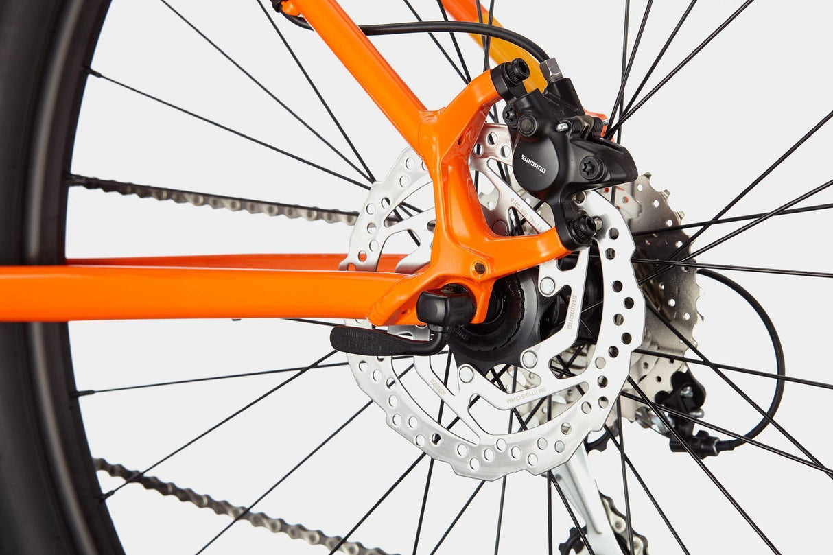 Cannondale Trail 6 | Strictly Bicycles 