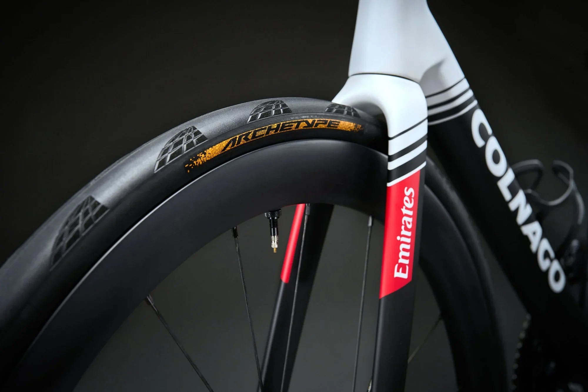 Continental Archetype TDF Limited Edition Road Tire | Strictly