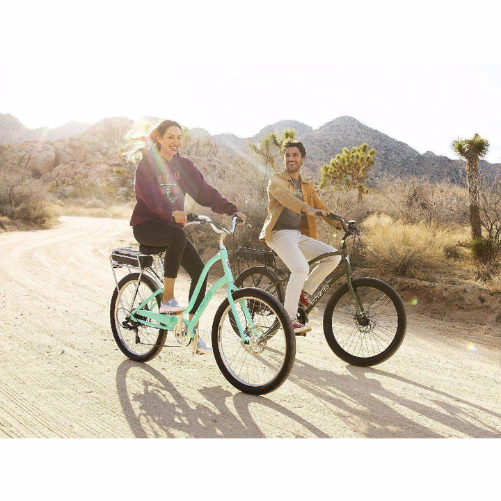 Electra Electra Step-Over Townie Go! 7D | Strictly Bicycles 