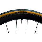 Enve SES Road Tire | Strictly Bicycles