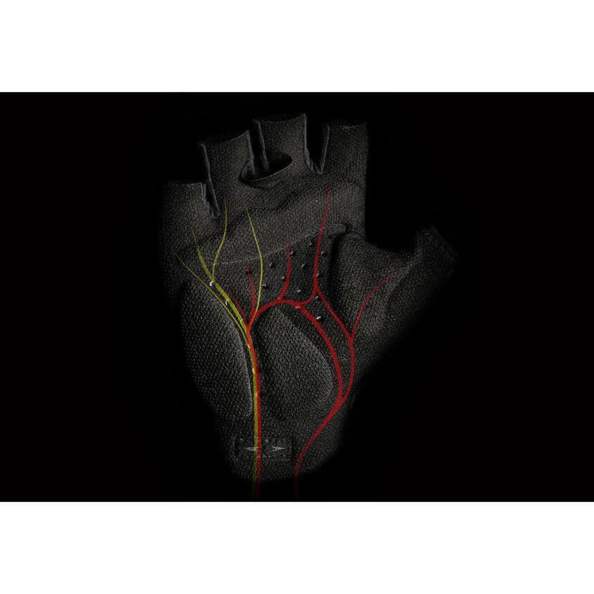 q36.5 unique handschuhe Q36.5 Unique Gloves