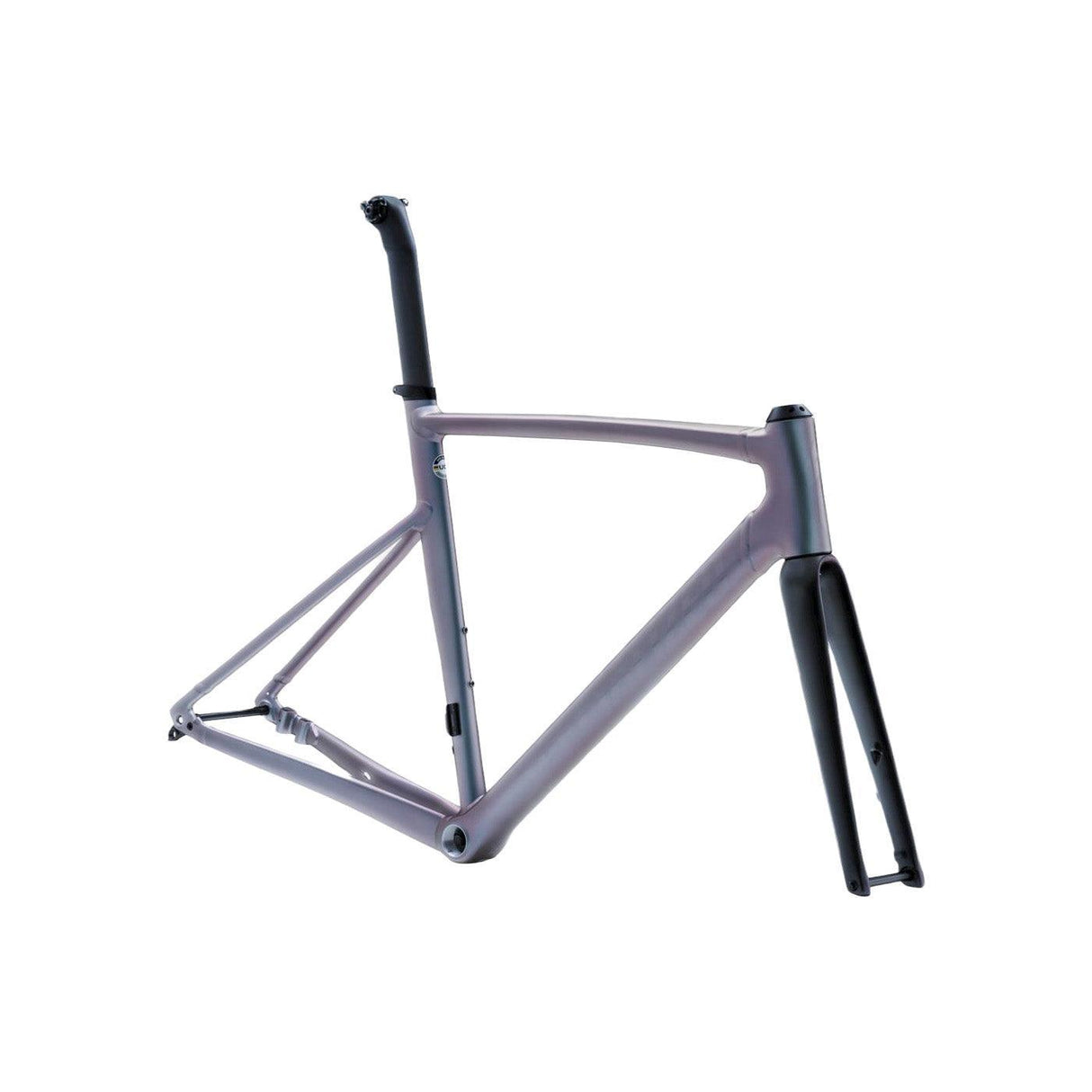 Specialized Allez Sprint Frameset | Strictly Bicycles