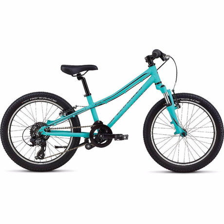 Specialized Hotrock 20 | Strictly Bicycles 